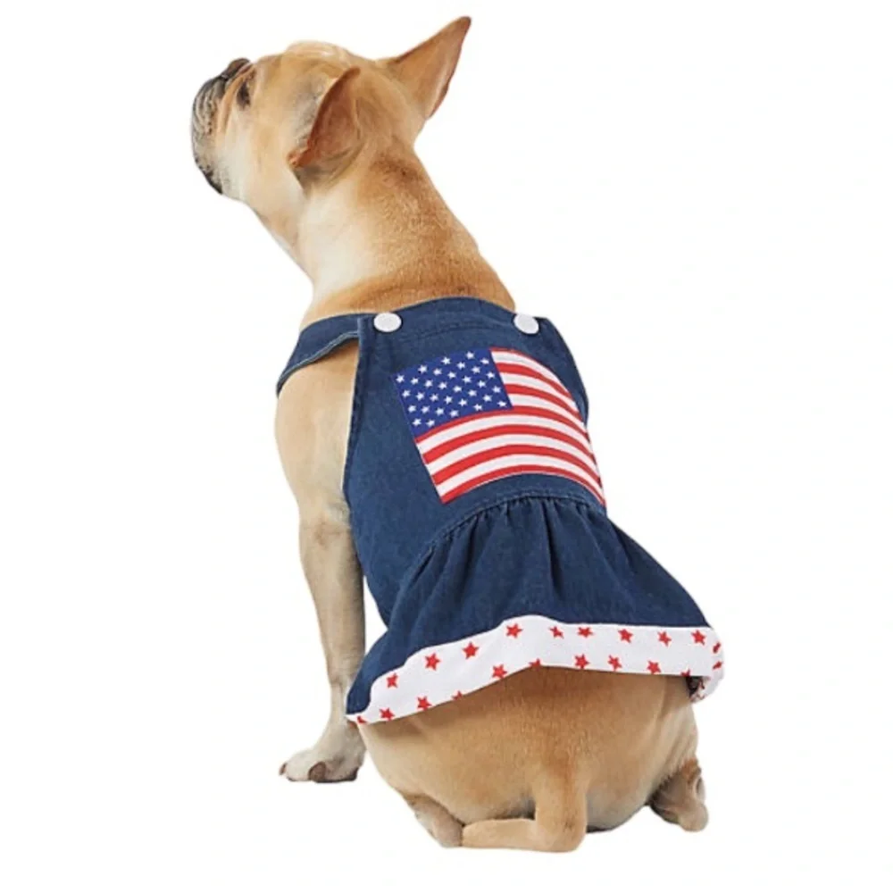 NWT denim American flag dress L